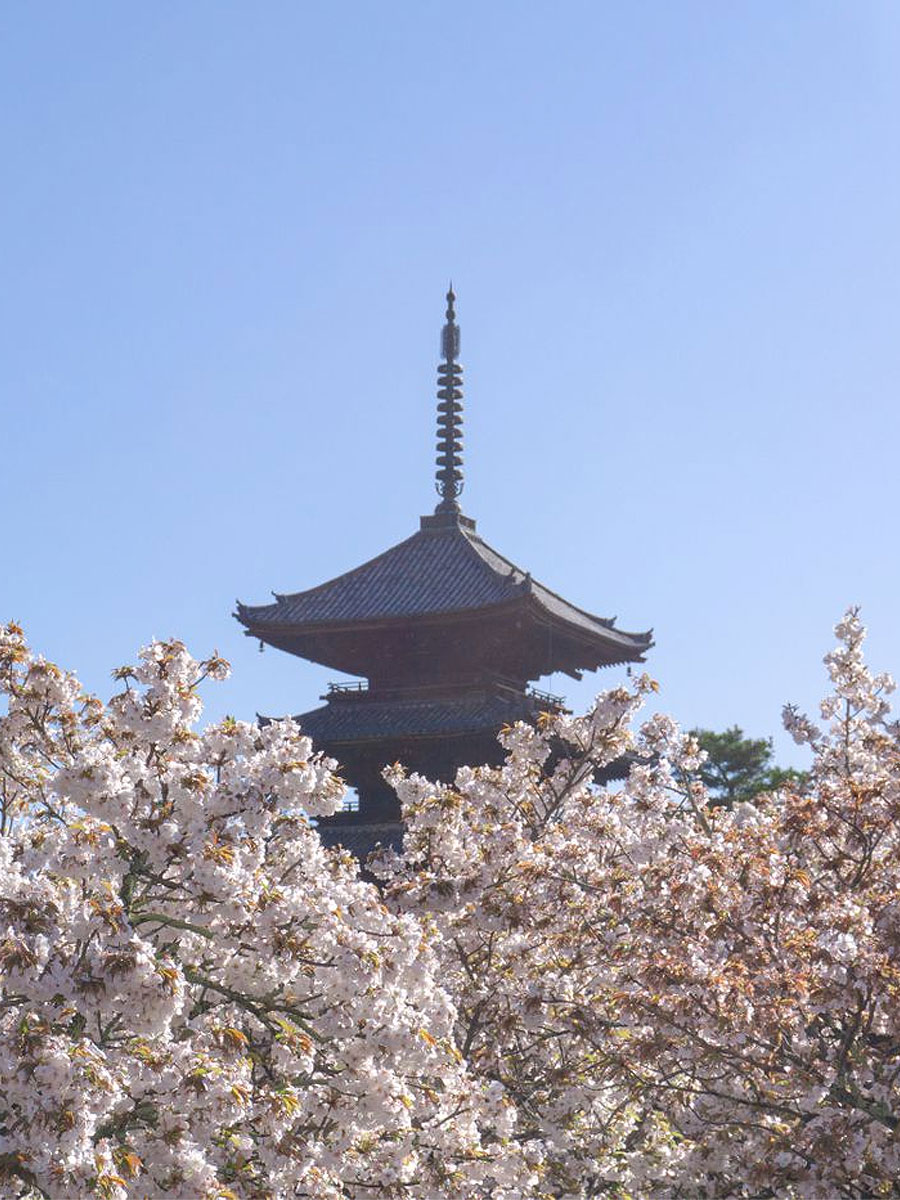 html5 bootstrap by colorlib.com